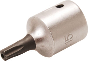Bit-Insats | 6,3 mm (1/4") | TS-Profil (för Torx Plus) med borrning TS15