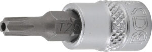 Bit-Insats | 6,3 mm (1/4") | T-Profil (för Torx) med borning T25