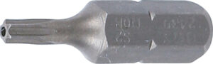 Bit | Längd 25 mm | Yttre sexkant 6,3 mm (1/4") | T-Profil (för Torx) med borrning T10