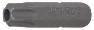Bit | Längd 25 mm | Yttre sexkant 6,3 mm (1/4") | T-Profil (för Torx) med borrning T40