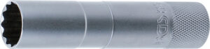 Tändstift-Insats med hållargummi, Tolvkant, lång | 10 mm (3/8") | 16 mm
