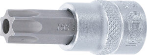 Bit-Insats | 10 mm (3/8") | T-Profil (för Torx) med borning T55