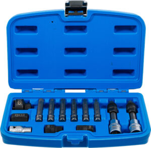 Generator Bit-/Bit-Insats-sats | 12,5 mm (1/2") | 13 delar