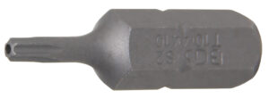 Bit | Längd 30 mm | Yttre sexkant 8 mm (5/16") | T-Profil (för Torx) med borrning T10