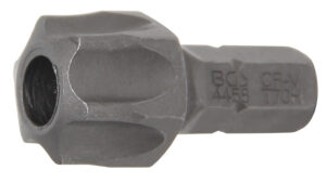 Bit | Längd 30 mm | Yttre sexkant 8 mm (5/16") | T-Profil (för Torx) med borrning T70
