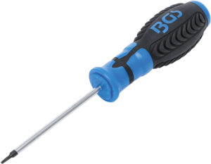 Skruvmejsel | T-Profil (för Torx) T6 | Klinglängd 80 mm