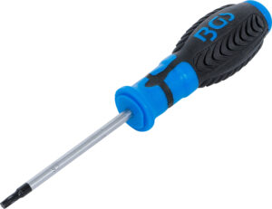 Skruvmejsel | T-Profil (för Torx) T20 | Klinglängd 80 mm