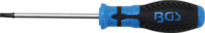 Skruvmejsel | T-Profil (för Torx) T27 | Klinglängd 100 mm
