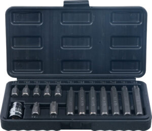 Bit-sats | Yttre sexkant 10 mm (3/8") | T-Profil (för Torx) | 15 delar