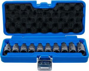 Kraft-Bit-Insats-sats | 12,5 mm (1/2") | T-Profil (för Torx) T20 - T70 | 10 delar