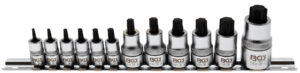 Bit-Insats-sats | extra kort | T-Profil (för Torx) T8 - T60 | 12 delar