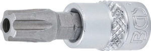 Bit-Insats | 6,3 mm (1/4") | TS-Profil (för Torx Plus) med borrning TS45