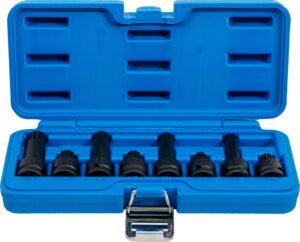 Kraft-Bit-Insats-sats | 12,5 mm (1/2") | Inre mångtandad (för XZN) M12 - M18 | 8 delar