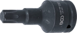 Kraft-Bit-Insats | Längd 100 mm | 20 mm (3/4") | T-Profil (för Torx) T80