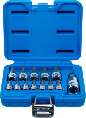 Bit-Insats-sats | 6,3 mm (1/4") / 10 mm (3/8") / 12,5 mm (1/2") | Inre sexkant 2 - 14 mm | 13 delar