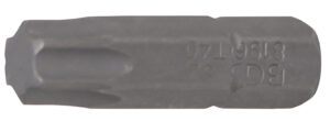 Bit | Längd 25 mm | Yttre sexkant 6,3 mm (1/4") | T-Profil (för Torx) T40